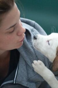 11 Great Myths for Adopting A Best Puppy