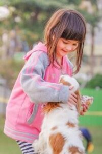 11 Great Myths for Adopting A Best Puppy