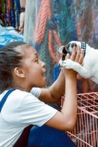 11 Great Myths for Adopting A Best Puppy