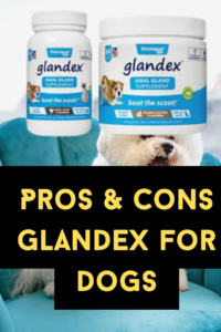 What Is Glandex For Dogs? Know Everything About Glandex