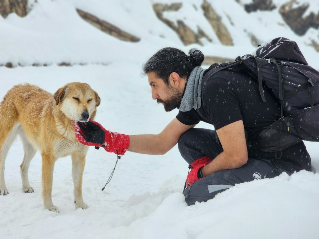 a man kneeling down next to a dog in the snow